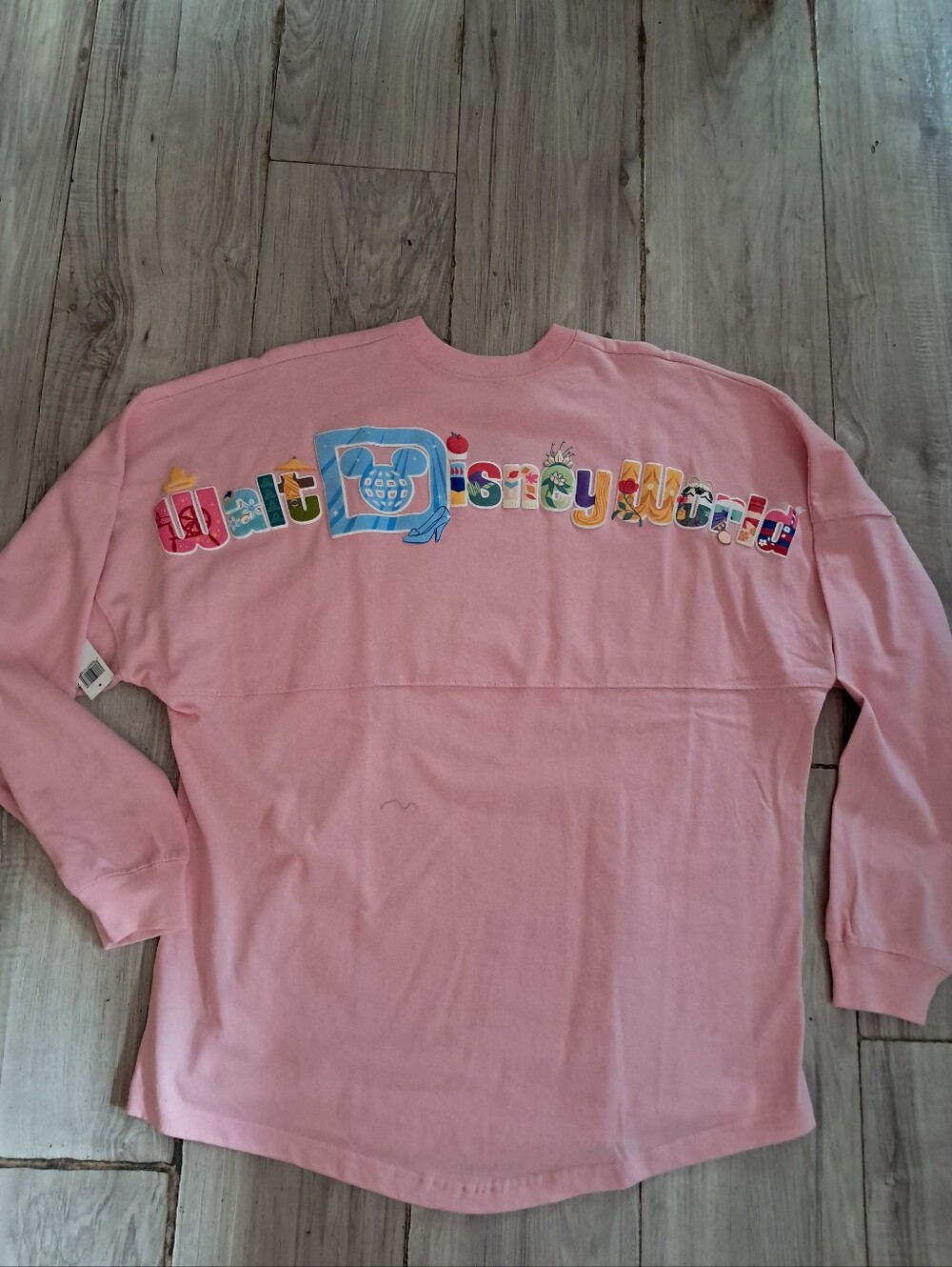 Disneyworld Princess Spirit Jersey L